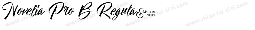 Novelia Pro B Regula字体转换
